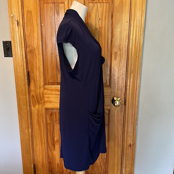 Daisy Fuentes dress - Picture 4 of 7